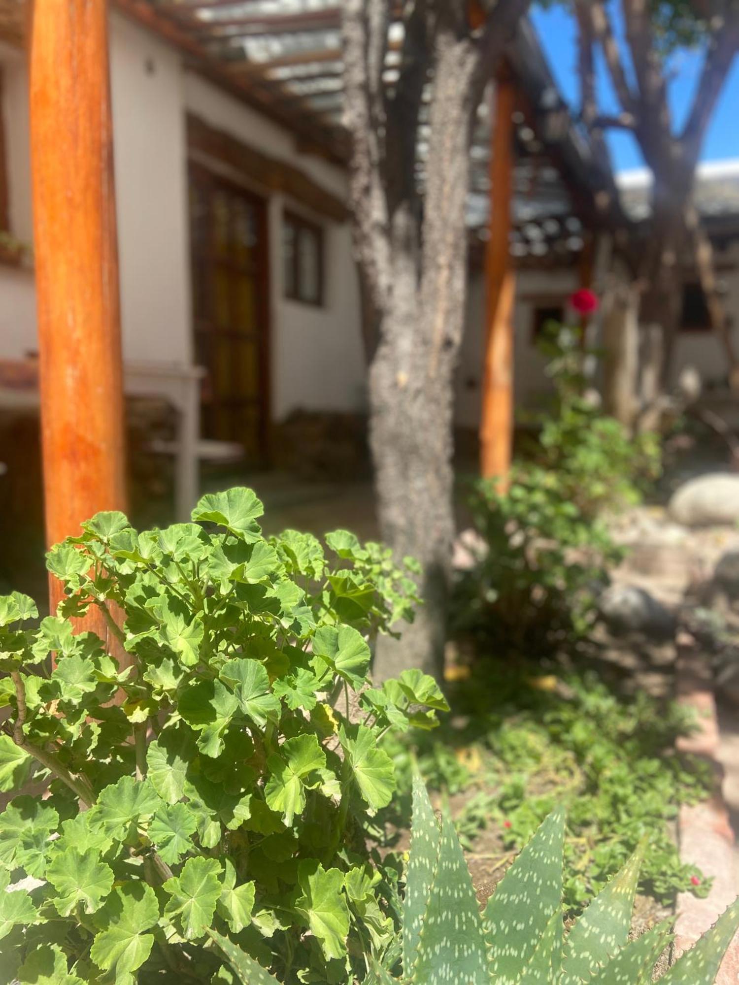 Hostal Tierra Andina Кафайяте Экстерьер фото